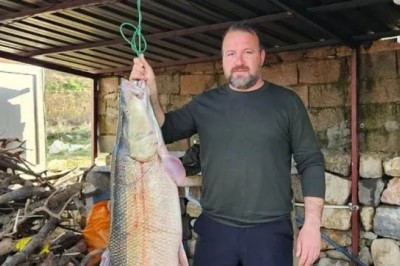 Amatör balıkçıların ağına devasa turna balığı takıldı